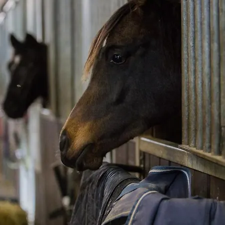 Апартаменты Idylle Auf Dem Reiterhof Bei Husum